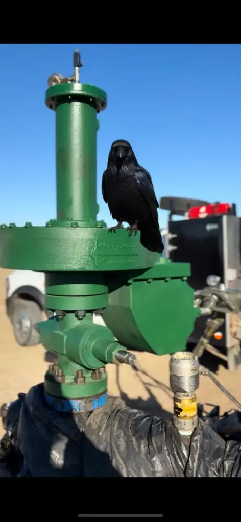 WartHog Hydraulic Drivehead